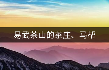 易武茶山的茶莊、馬幫