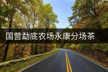 國(guó)營(yíng)勐底農(nóng)場(chǎng)永康分場(chǎng)茶廠