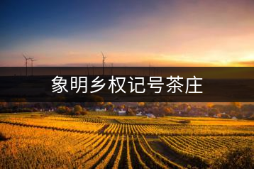 象明鄉(xiāng)權(quán)記號茶莊