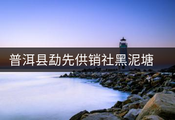 普洱縣勐先供銷社黑泥塘茶廠