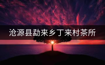 滄源縣勐來鄉(xiāng)丁來村茶所