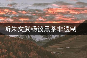 聽朱文武暢談黑茶非遺制茶技藝的市場的開拓之路