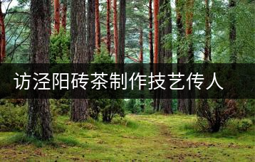 訪涇陽磚茶制作技藝傳人、陜西省非遺傳承人賈根社