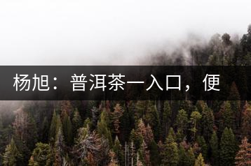 楊旭：普洱茶一入口，便知產(chǎn)地和年份