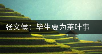 張文侯：畢生要為茶葉事業(yè)奮斗