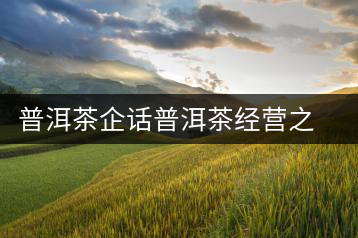 普洱茶企話普洱茶經營之道