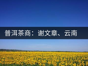 普洱茶商：謝文章、云南谷申商貿(mào)有限公司總經(jīng)理