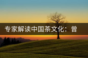 專家解讀中國茶文化:曾征服征服沙皇