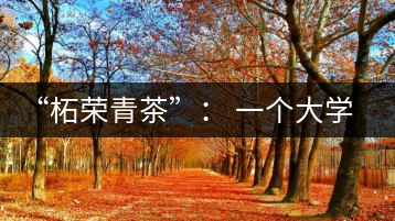 “柘榮青茶”： 一個大學生的創(chuàng)業(yè)夢想