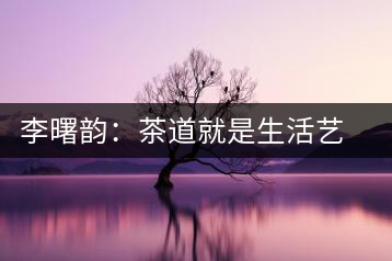 李曙韻:茶道就是生活藝術(shù)