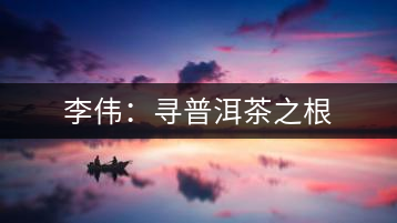 李偉：尋普洱茶之根