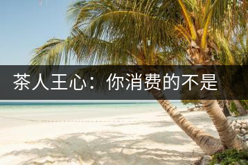茶人王心：你消費的不是茶，是我