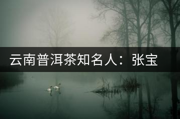 云南普洱茶知名人：張寶三