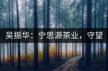 吳振華：寧思源茶業(yè)，守望家鄉(xiāng) 做好“金獎(jiǎng)茶王”