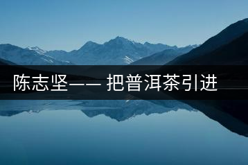 陳志堅—— 把普洱茶引進(jìn)四平的人