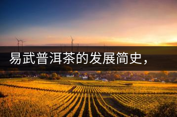 易武普洱茶的發(fā)展簡史，昔日的貢茶如今依然輝煌