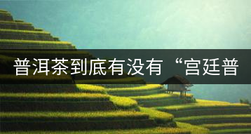 普洱茶到底有沒有“宮廷普洱”一說？它到底是什么？