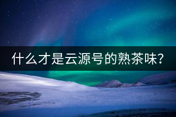 什么才是云源號(hào)的熟茶味？