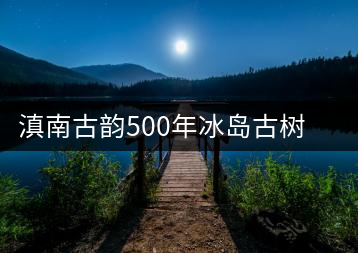 滇南古韻500年冰島古樹(shù)生茶官方評(píng)測(cè)