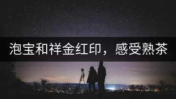 泡寶和祥金紅印，感受熟茶之美。