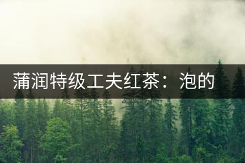 蒲潤特級工夫紅茶：泡的方便，喝的舒適