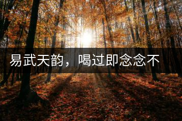 易武天韻，喝過即念念不忘的茶中皇后