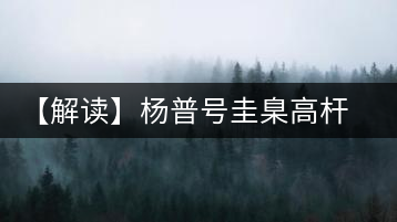 【解讀】楊普號(hào)圭臬高桿茶：形高、氣足、韻遠(yuǎn)的一款茶