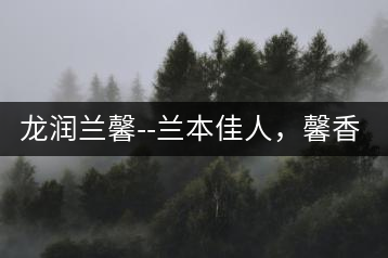 龍潤蘭馨–蘭本佳人，馨香高雅