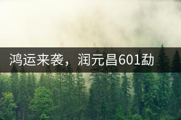 鴻運(yùn)來(lái)襲，潤(rùn)元昌601勐海紅韻熟茶即將上市