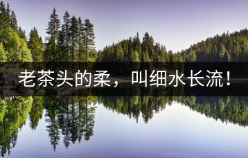 老茶頭的柔，叫細水長流！