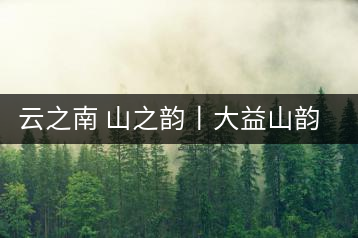 云之南 山之韻丨大益山韻，“韻”味傳奇之山韻歸來