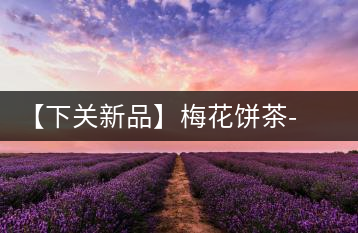 【下關(guān)新品】梅花餅茶-胭脂點(diǎn)春暗香來(lái)