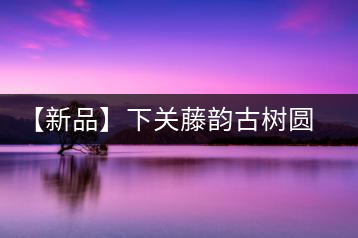 【新品】下關(guān)藤韻古樹圓茶——“千手觀音”臨世之風骨