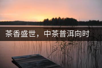 茶香盛世，中茶普洱向時代獻禮