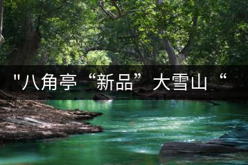 “八角亭“新品”大雪山“即將上市，期待您的品茗！