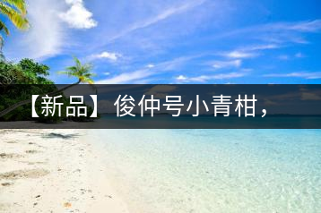 【新品】俊仲號(hào)小青柑，青果來傾城