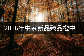 2016年中茶新品臻品橙中橙(熟茶)首發(fā)