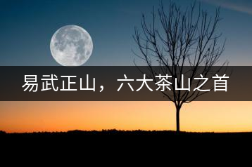 易武正山，六大茶山之首