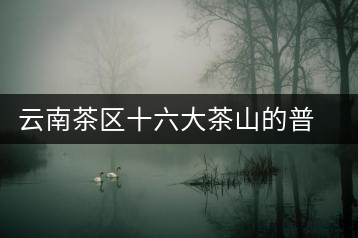 云南茶區(qū)十六大茶山的普洱茶特色