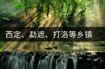 西定、勐遮、打洛等鄉(xiāng)鎮(zhèn)古茶樹資源