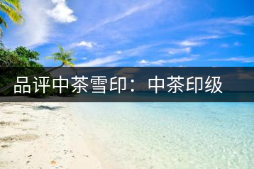品評中茶雪?。褐胁栌〖壊璧慕?jīng)典傳承