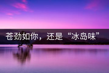 蒼勁如你，還是“冰島味”嗎？