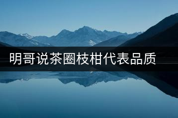 明哥說茶圈枝柑代表品質(zhì)高點，是玩家級的產(chǎn)品