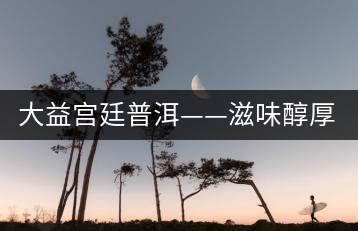 大益宮廷普洱——滋味醇厚，陳香濃郁