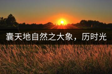 囊天地自然之大象，歷時光十載流轉(zhuǎn)-皇茶一號