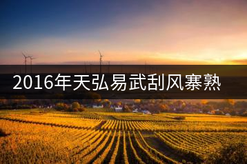 2016年天弘易武刮風寨熟茶一泡耐人尋味！