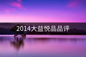 2014大益悅品品評(píng)