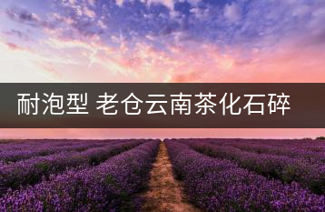 耐泡型 老倉云南茶化石碎銀子普洱熟茶糯米香茶老茶頭散茶葉250g