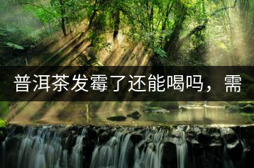 普洱茶發(fā)霉了還能喝嗎，需要怎么處理？