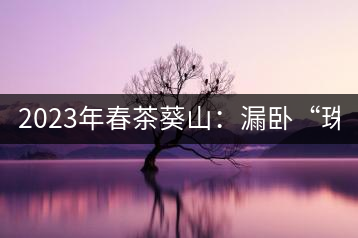 2023年春茶葵山：漏臥“珠江紅：1200元-3200元（有3個檔次）漏臥“大廠茶”：古樹單株8600-9000元／公斤，中樹4800-5200元／公斤，小樹混采2600-2800元／公斤。
